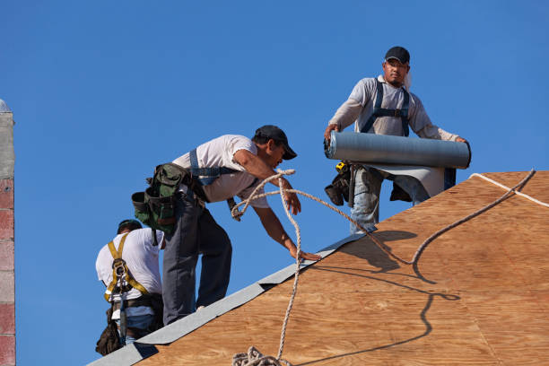 Best Flat Roof Repair Services  in Ridge Manor, FL