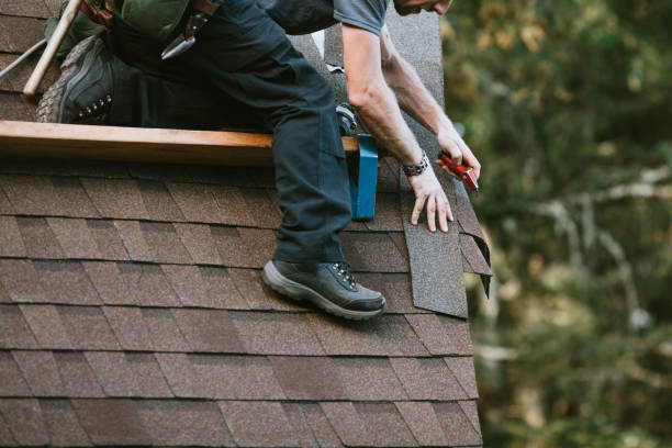 Best Roof Maintenance Services  in Ridge Manor, FL